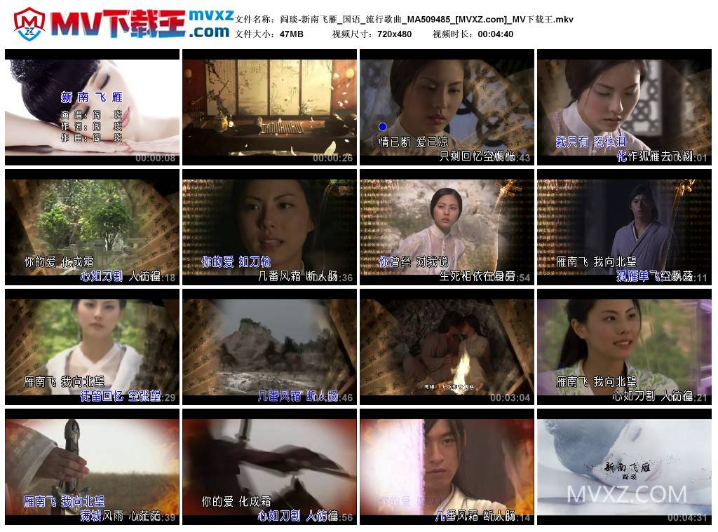 阎琰-新南飞雁_国语_流行歌曲_MA509485